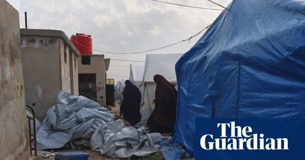 Calls grow for Australia to repatriate citizens as Roj camp deteriorates — World news | The Guardian