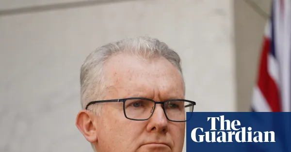 Tony Burke says few options to block return of 34 from Syrian camp — World news | The Guardian