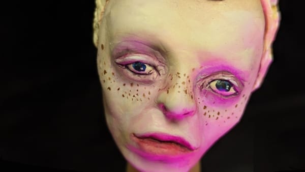 Developers defend transgressive stop-motion horror amid delistings — Pcgamer