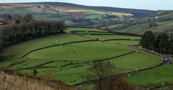 What Brontë Country Tells Us About Britain Today — NYT > World > Europe