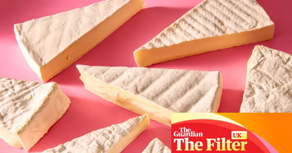 ‘Melts into an oozy blob’: the best supermarket brie, tasted and rated — Lifestyle | The Guardian