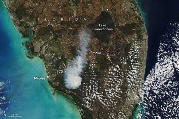 Smoke rises over Big Cypress National Preserve — NASA Science