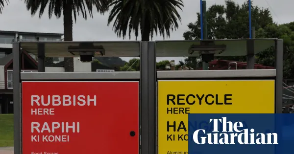 Coalition advances bill to make English an official language in New Zealand — World news | The Guardian