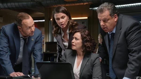 Bridget Moynahan Joins Christopher Meloni in Hulu's The Land — Collider