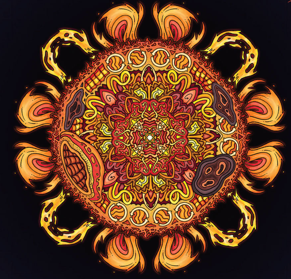 Journey Through the Heliosphere: The Sun-Earth System in Color — NASA Science