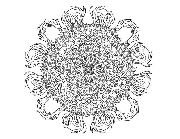 Journey Through the Heliosphere: The Sun-Earth System in Color — NASA Science