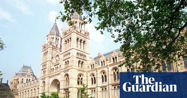 Descendants urge UK museums to help find looted chimurenga skulls — World news | The Guardian