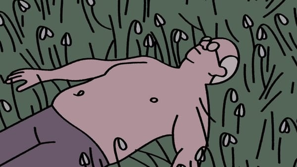 Domhnall Gleeson Narrates Oscar-Nominated Short Retirement Plan — Collider