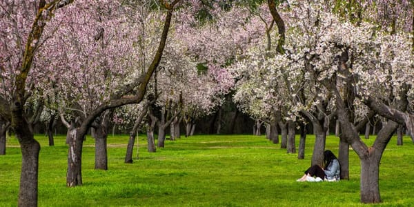 Under-the-radar money books investors recommend — Businessinsider