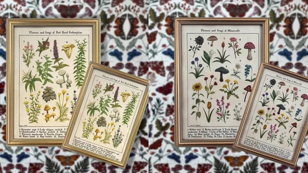 Wildlife identification prints turn video game flora into museum art — Pcgamer