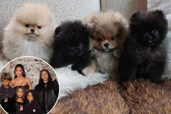 Kim Kardashian shares photos of her kids' four new puppies amid PETA criticism — Pagesix