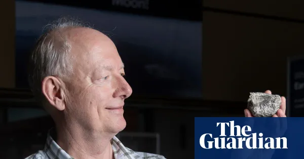 A new start after 60: becoming a palaeontologist at 62 — Lifestyle | The Guardian