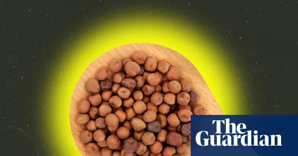 Peas are criminally overlooked: seven forgotten superfoods — Lifestyle | The Guardian