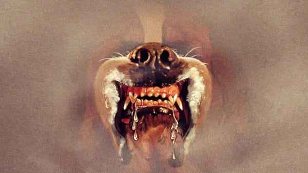 10 Most Suspenseful Stephen King Books, Ranked — Collider