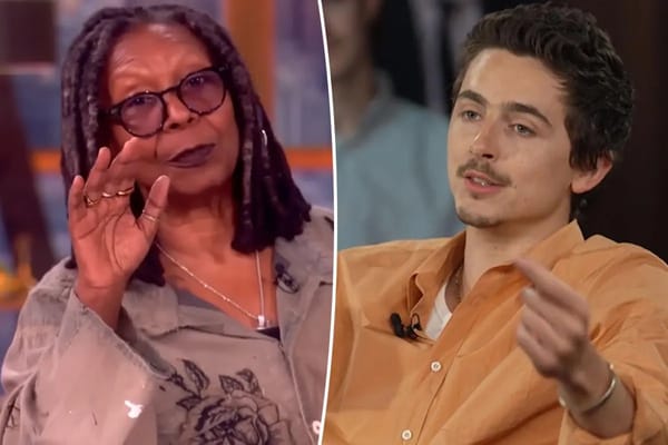 'The View' cohosts slam Timothée Chalamet over ballet and opera comments — Pagesix