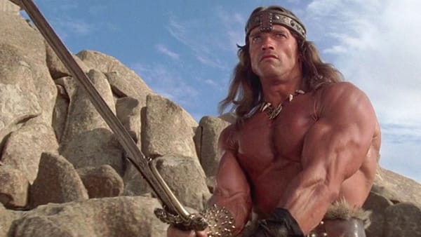 Arnold Schwarzenegger to Star in King Conan Directed by Christopher McQuarrie — Polygon