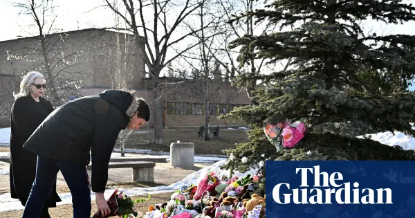 Family sues OpenAI over Tumbler Ridge school shooting — World news | The Guardian