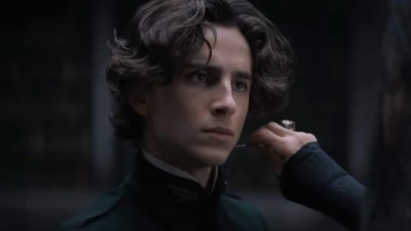 Timothée Chalamet Called "Vapid" & "Shallow" After Recent Opera Comments — Movieweb