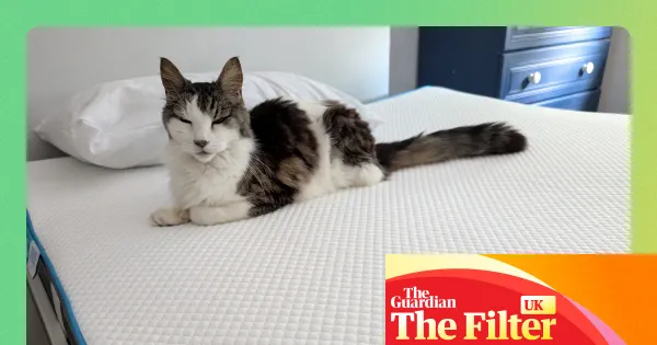 The best mattress toppers for a more comfortable night’s sleep — Lifestyle | The Guardian