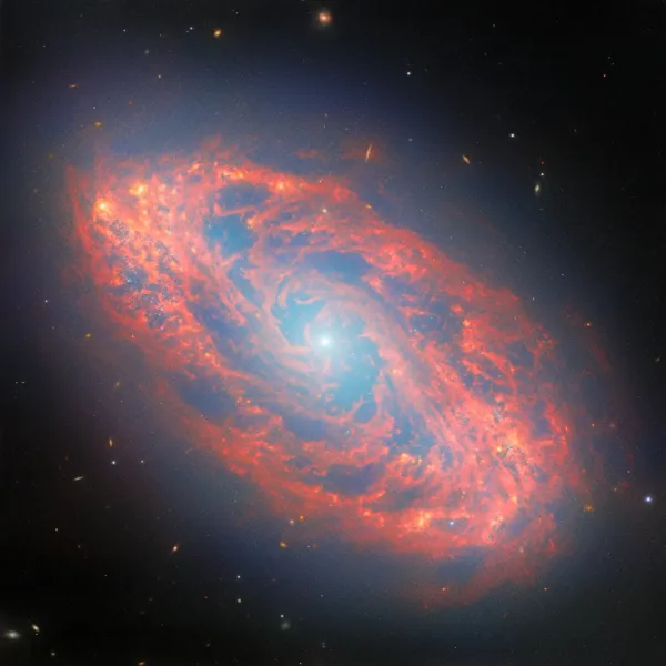 Webb Reveals Dust and Stars in NGC 5134 — NASA Science