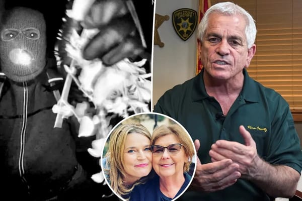 Expert criticizes sheriff's handling of Nancy Guthrie disappearance — Pagesix