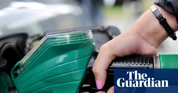 UK petrol retailers claim ‘inflammatory language’ of ministers led to staff abuse — Lifestyle | The Guardian