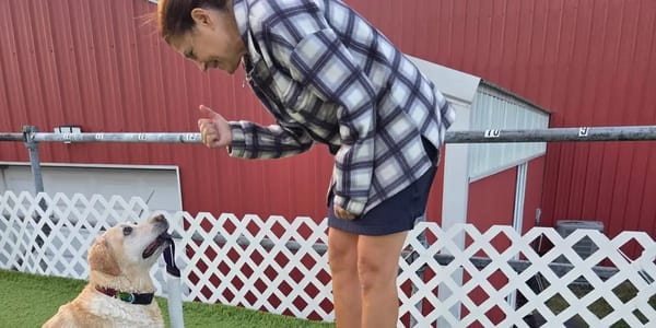 Not having kids felt like my biggest regret — then I became the cool aunt — Businessinsider