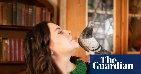 The pet I’ll never forget: Penny, the pigeon who never left my side — Lifestyle | The Guardian