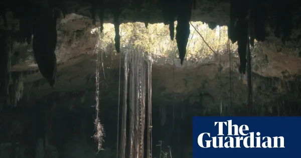 Descent into Underland, the film of Robert Macfarlane’s book — Culture | The Guardian