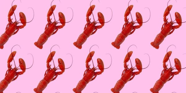 OpenClaw sparks lobster hats and claw-hand culture — Businessinsider