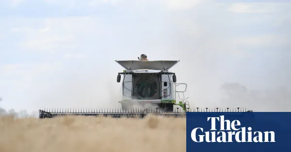 Farmers defend stockpiling as regional Australia bears brunt of fuel crisis — World news | The Guardian