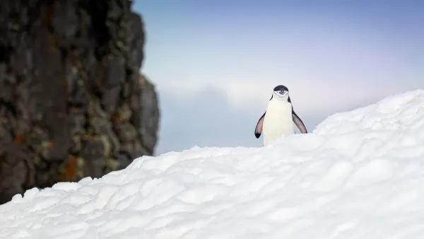 Omega Linux revives a junk PC and is noticeably better than Ubuntu — Latest news