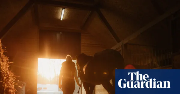 Mare by Emily Haworth-Booth — a woman's love for a horse — Culture | The Guardian