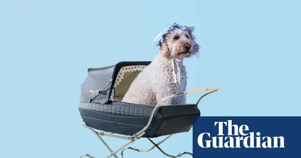 ‘When he turned two we had party hats and cake’: how dogs became the new babies — Lifestyle | The Guardian
