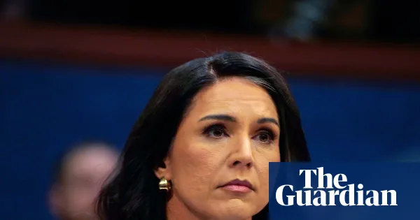 Gabbard testimony raises questions about Venezuela conspiracy — World news | The Guardian